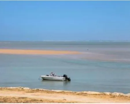 Colibri * Puerto Real